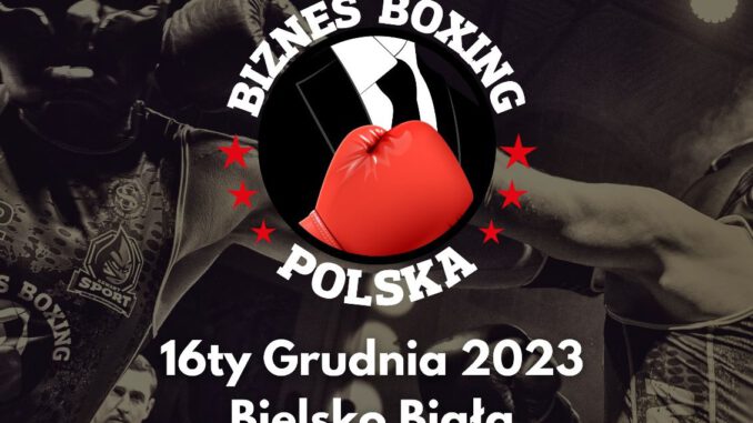 Biznes Boxing Polska