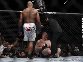 Alistair Overeem vs Brock Lesnar