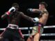 Paro vs Hitchins
