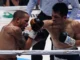 Murata vs Brant II