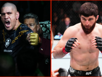 Pereira vs Ankalaev