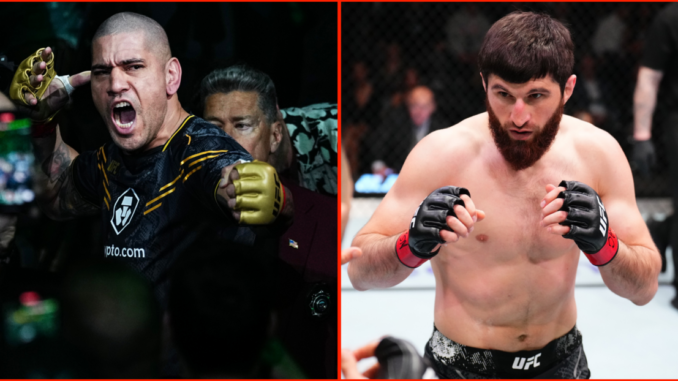 Pereira vs Ankalaev