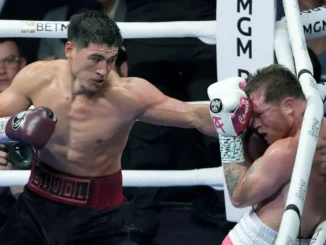 Biwoł vs Alvarez