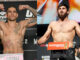 Pereira vs Ankalaev