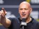 Dana White