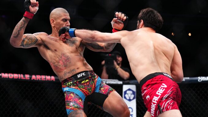 Pereira vs Ankalaev