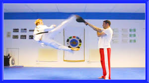 Taekwondo 540