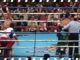 Cotto vs Pinto