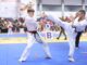 Karate