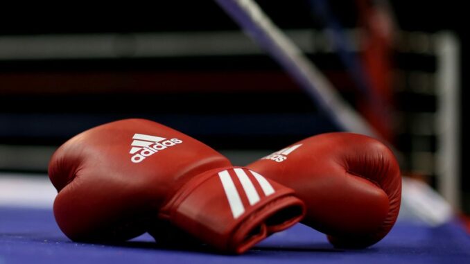 Suzuki Boxing Night