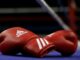 Suzuki Boxing Night