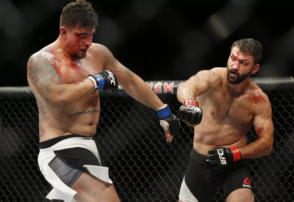 Arlovski vs Mir