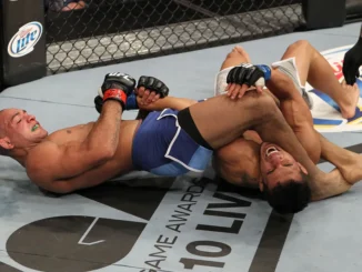 Brandao vs Bermudez