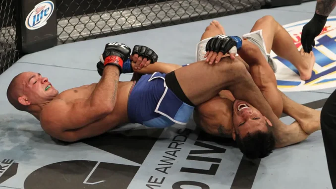 Brandao vs Bermudez