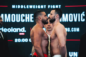Hammouche vs Selimovic