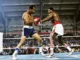 Holmes vs Norton