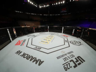 UFC oktagon