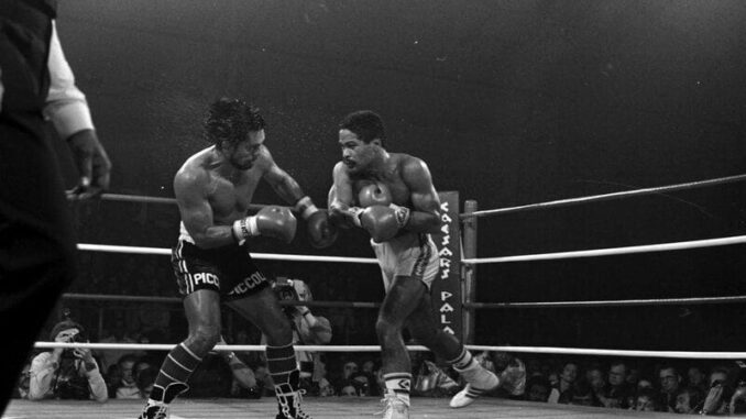 Wilfred Benitez
