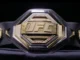 Pas mistrza UFC