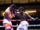 Hrgovic vs Adeleye