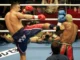 Peter Aerts